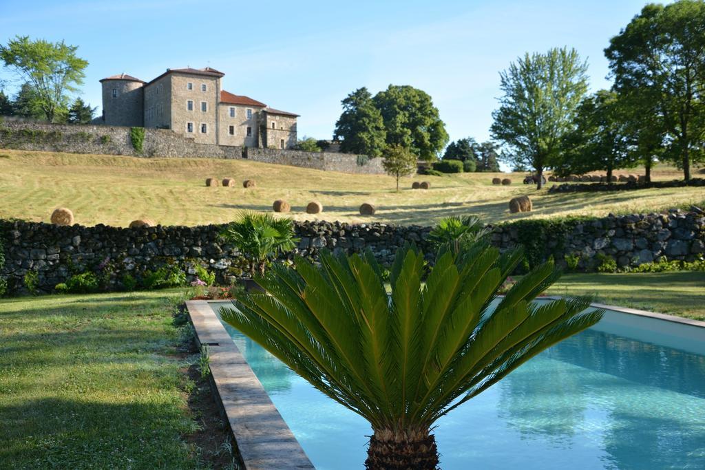 Chateau Du Besset Saint-Romain-de-Lerps Exterior photo
